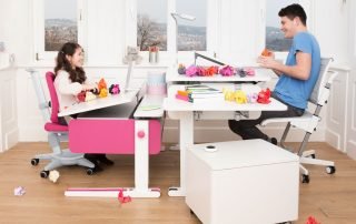 Scrivania ergonomica Moll_System