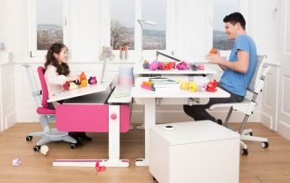 Moll System le scrivanie ergonomiche a Torino